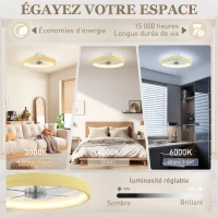 HOMCOM Ventilateur plafond avec lumière LED plafonnier ventilateur Ø49cm 7 pales 6 vitesses luminosité réglable mode été-hiver(m-4)