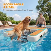 PawHut Rampe d'Eau Gonflable pour Chien jusqu'à 100kg, Surface Antidérapante en EVA, Sac de Rangement, 151x102x15cm, Orange(m-4)