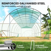 Szklarnia 6x3x2 m, folia, 12 okien, drzwi rolowane(m-5)