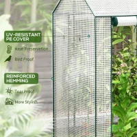 Outsunny Green House, Mini Greenhouse with 2 Roll-up Doors, Vent Holes and Reinforced Cover, 100 x 80 x 150cm(m-5)