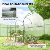 Outsunny Tunnel Tomato Greenhouse with 4 Hoops and Top Tap, Pointed Bottom and Guy Ropes, 400 x 120 x 170 cm, Clear(m-4)
