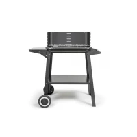 Barbecue a charbon - LIVOO - DOC328 - Inox - Surface de cuisson 48,5 x 28,8 cm - Hauteur réglable 70-84 cm(m-2)