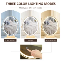 HOMCOM Dressing Table with LED Mirror and Cushioned Stool, Vanity Desk with Acrylic Lipstick Holder and 2 Drawers, Makeup Table for Bedroom, White(m-4)