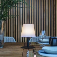 Lampe de table sans fil - LUMISKY - STANDY MINI Dark - H25 cm - Pied en acier noir - LED blanc chaud et blanc(m-5)
