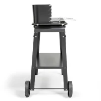 Barbecue a charbon - LIVOO - DOC328 - Inox - Surface de cuisson 48,5 x 28,8 cm - Hauteur réglable 70-84 cm(m-3)