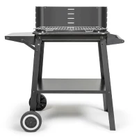 Barbecue a charbon - LIVOO - DOC328 - Inox - Surface de cuisson 48,5 x 28,8 cm - Hauteur réglable 70-84 cm(m-1)