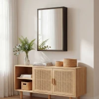 kleankin Armoire miroir de salle de bain armoire murale armoire à glace avec 1 porte et 2 étagères en acier 40 x 12 x 60 cm noir(m-9)