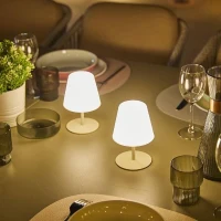 Set de 2 lampes de table sans fil - LUMISKY - TWINS - Cream - H16 cm - LED(m-3)