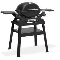 Barbecue a gaz - Weber - Q1200N avec stand - 2,94kW - 1 brûleur en acier inoxydable - Allumage piézoélectronique - Noir(m-3)
