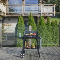 Barbecue a charbon - LIVOO - DOC328 - Inox - Surface de cuisson 48,5 x 28,8 cm - Hauteur réglable 70-84 cm(m-6)