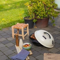 Barbecue a charbon portable - LIVOO - DOC301 - ø34 cm - Grille chromé - Hauteur 18 cm - Poignées - Loquets de sécurité(m-2)