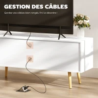 HOMCOM Meuble TV style scandinave 2 portes 2 niches passe-fils piètement bois pin panneaux blanc - 120 x 34 x 50 cm blanc(m-5)