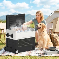 Outsunny Lodówka kompresorowa 50L -20℃ do 20℃ z aplikacją, LED, ochroną baterii i składanym uchwytem(m-2)