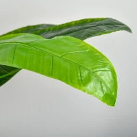 HOMCOM Conjunto de 2 Bananeiras Artificiais 150 cm Plantas Artificiais com Vaso e 18 Folhas Planta Artificial para Decoração Verde(m-8)