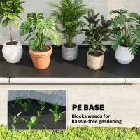 Outsunny Foldable Small Greenhouse, Portable Green House Mini Greenhouse with Zipper Door, PE Base, 200 x 80 x 164 cm, Green(m-6)