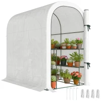 Outsunny Walk-in Greenhouse with Shelves, Small Greenhouse with PE Cover and Roll-up Door, 123 x 187 x 189 cm, White(m-10)
