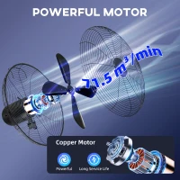 HOMCOM 41 cm Metal Pedestal Fan with Oscillating, Adjustable Height Black(m-6)