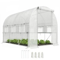 Outsunny Walk-in Polytunnel Greenhouse Green House with Roll-up Sidewalls, UV-resistant PE Cover, 3 x 2 x 2m, White(m-21)