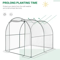 Outsunny Walk-in Tunnel Greenhouse with Roll-up Door, Transparent Polytunnel Greenhouse with Steel Frame and Plastic Cover, 2.5 x 2m(m-16)
