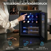 HOMCOM Weinkühler für 12 Flaschen, 36 L Kapazität, 4–16°C, Unterbau Kühlschrank für Getränke und Bier, mit Glastür, LED-Licht(m-5)