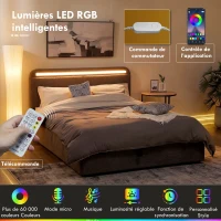 HOMCOM Lit coffre 140 x 190 cm avec éclairage LED, tête de lit réglable, cadre de lit double, sommier à lattes en bois, gris(m-5)