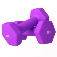 SPORTNOW Set 2 gantere 2x2 kg hexagonale și antiderapante pentru acasă și sală, din metal și plastic, 16x7,5x7,5 cm, violet(m-1)