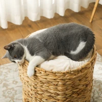 Kocia Tuba 50 cm, 2 kryjówki, drapak z poduszką(m-7)