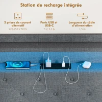 HOMCOM Cadre de lit 160 x 200 cm avec sommier acier, lit 2 personnes flottant avec lumières LED RGB et station de charge, gris(m-6)