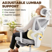 HOMCOM Ergonomic and Adjustable Office Chair - Grey(m-5)