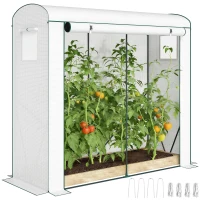 Outsunny Mini Greenhouse, Garden Tomato Growhouse with Roll-Up Door and 2 Mesh Windows, PE Cover, 200 x 75 x 188 cm, White(m-10)