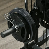 SPORTNOW Máquina de Multiestación Musculación Entrenamiento Carga 120 kg 170x139x200 cm Negro(m-10)