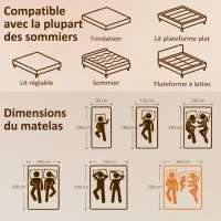 HOMCOM Matelas 160x200cm, matelas 2 personnes, mousse à mémoire de forme au thé vert, housse amovible lavable, fermeté moyenne(m-3)