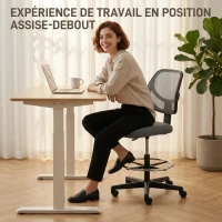 Vinsetto Chaise bureau ergonomique, fauteuil de bureau avec repose-pieds, chaise à dessin en maille, hauteur réglable, gris foncé(m-5)