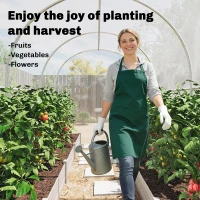 Outsunny Polytunnel Greenhouse Walk-in Grow House with PE Cover, Door and Galvanised Steel Frame, 3 x 2 x 2m, Clear(m-7)
