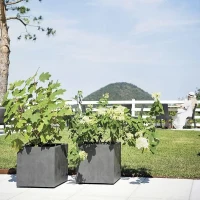 DEROMA Pot de fleurs Cube Millennium R - 39 x H39,1 cm - Anthracite - A réserve d'eau(m-6)