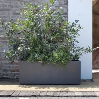 DEROMA Jardiniere Muret Millennium R - 99 x h39 cm - Anthracite - A réserve d'eau - Roulettes(m-3)