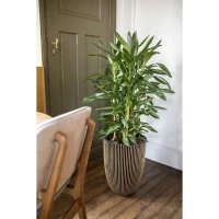 CAPI EUROPE Vase élégant GROOVE - 46x58 cm Noir et doré(m-2)