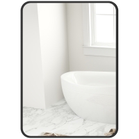HOMCOM Miroir de Salle de Bain avec Cadre en Métal et Crochet, 50x2,5x70 cm, Noir