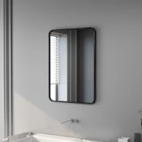 HOMCOM Miroir de Salle de Bain avec Cadre en Métal et Crochet, 50x2,5x70 cm, Noir(m-4)