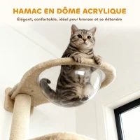 PawHut Étagères murales pour chat ensemble de meubles muraux 6 pièces hamac à bulles en acrylique niche hamac échelle beige(m-6)