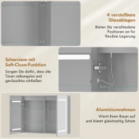 HOMCOM Spiegelschrank für das Badezimmer mit LED-Beleuchtung, 60 x 80 cm Badschrank mit Anti-Beschlag, 3-fach dimmbare(m-7)