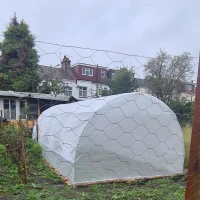 Outsunny Poly Tunnel for Garden, Walk-in Polytunnel with Door and Roll Up Windows, 6 x 3 x 2 m, White(m-9)