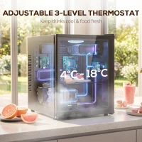 HOMCOM Mini lodówka 44L/46 puszek – kompaktowa lodówka z regulowanym termostatem, 43 x 51 x 51,3 cm, czarna(m-5)