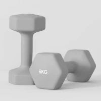 SPORTNOW Set 2 Ganterele Hexagonale de 2x6 kg din Metal și Plastic, 2 Ganterele cu Mânere Antiderapante, 22x10x10 cm, Gri(m-8)