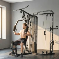 SPORTNOW Kraftstation Fitnessstation mit 65kg Gewichten, Latzug, Butterflystange, verstellbar Preacher Bank, Beintrainer(m-2)