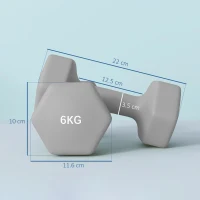 SPORTNOW Set 2 Ganterele Hexagonale de 2x6 kg din Metal și Plastic, 2 Ganterele cu Mânere Antiderapante, 22x10x10 cm, Gri(m-3)