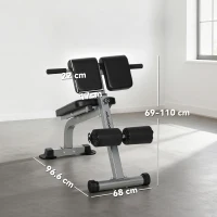 SPORTNOW Panca Romana Regolabile e Pieghevole Multifunzione, Capacità 150 kg, Argento(m-3)