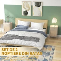 HOMCOM Set 2 Noptiere pentru Dormitor cu Sertar și Ușă din Ratan, Stil Boho, Culoare Lemn(m-8)