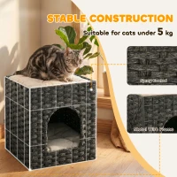 PawHut 2-Tier Wicker Cat House, Handwoven Rattan Cat Bed with Washable Cushions, Indoor Kitten Condo Hideaway(m-7)