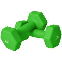 SPORTNOW Set 2 Manubri 3 kg Esagonali e Antiscivolo per Casa e Palestra, in Metallo e Plastica, 18x8x8 cm, Verde(m-11)